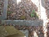 image of grave number 156923